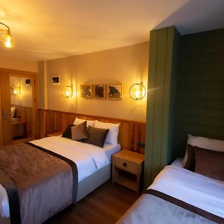 Hotel Koru 3*